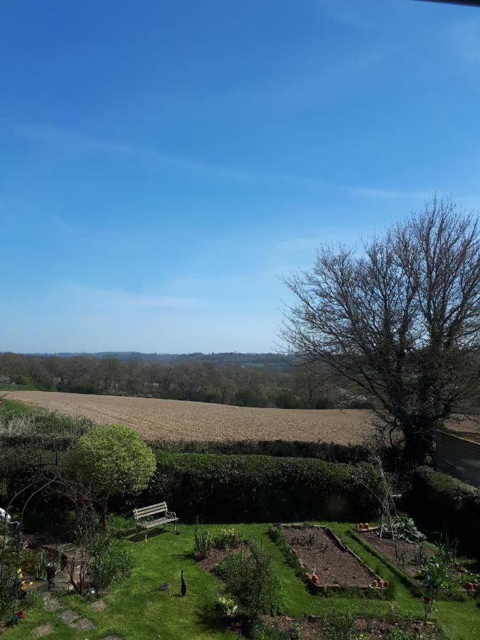 Court Barn Cottage B&B Burwash Extérieur photo